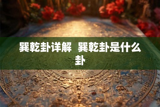 巽乾卦详解  巽乾卦是什么卦