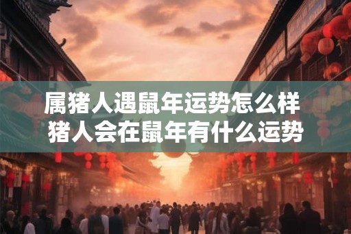属猪人遇鼠年运势怎么样 猪人会在鼠年有什么运势