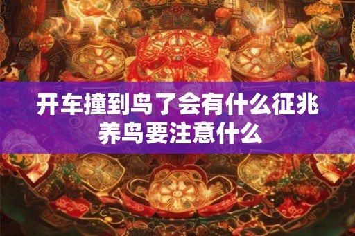 开车撞到鸟了会有什么征兆 养鸟要注意什么