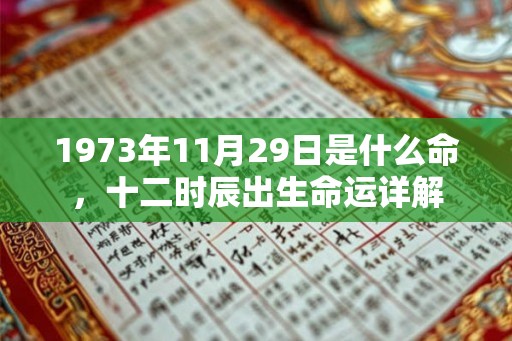 1973年11月29日是什么命，十二时辰出生命运详解