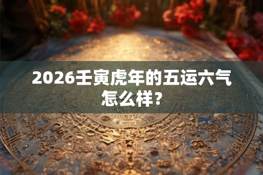 2026壬寅虎年的五运六气怎么样？