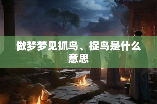 做梦梦见抓鸟、捉鸟是什么意思
