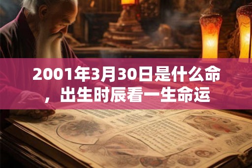 2001年3月30日是什么命,出生时辰看一生命运 2001年3月30日是什么命,出生时辰看一生命运