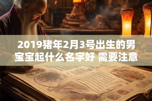 2019猪年2月3号出生的男宝宝起什么名字好 需要注意什么