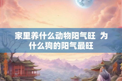 家里养什么动物阳气旺  为什么狗的阳气最旺