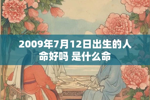 2009年7月12日出生的人命好吗 是什么命