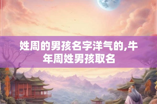 姓周的男孩名字洋气的,牛年周姓男孩取名