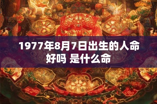 1977年8月7日出生的人命好吗 是什么命