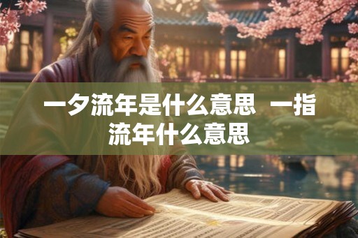 一夕流年是什么意思  一指流年什么意思