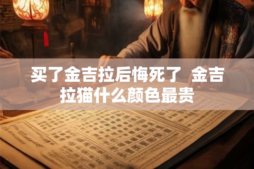 买了金吉拉后悔死了 金吉拉猫什么颜色最贵 买了金吉拉后悔死了 金吉拉猫什么颜色最贵