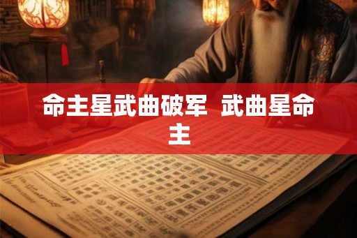 命主星武曲破军  武曲星命主