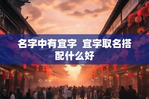 名字中有宜字  宜字取名搭配什么好