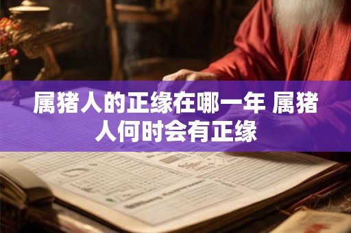 属猪人的正缘在哪一年 属猪人何时会有正缘