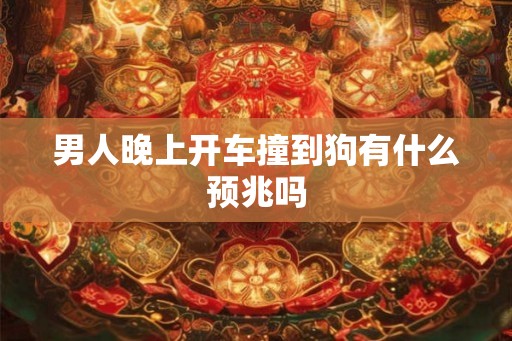 男人晚上开车撞到狗有什么预兆吗 男人晚上开车撞到狗有什么预兆吗