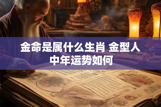 金命是属什么生肖 金型人中年运势如何