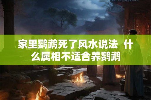家里鹦鹉死了风水说法  什么属相不适合养鹦鹉