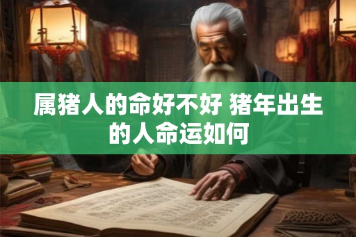 属猪人的命好不好 猪年出生的人命运如何