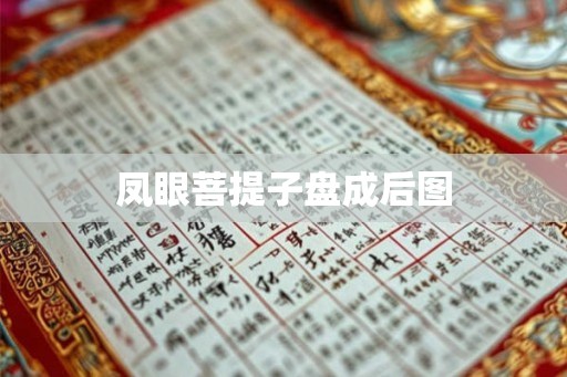 凤眼菩提子盘成后图