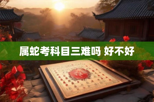 属蛇考科目三难吗 好不好