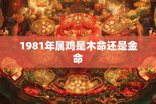 1981年属鸡是木命还是金命
