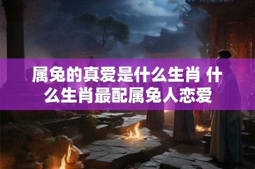 属兔的真爱是什么生肖 什么生肖最配属兔人恋爱