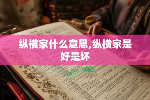 纵横家什么意思,纵横家是好是坏