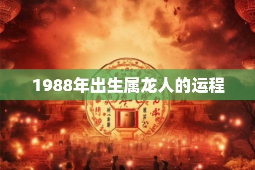 1988年出生属龙人的运程