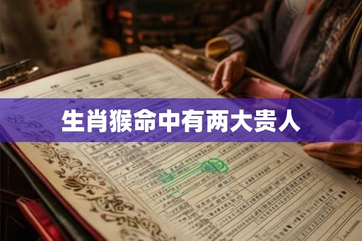 生肖猴命中有两大贵人 生肖猴命中有两大贵人