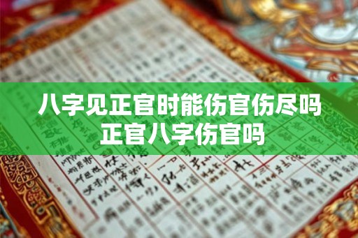 八字见正官时能伤官伤尽吗 正官八字伤官吗