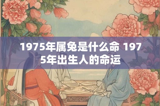 1975年属兔是什么命 1975年出生人的命运