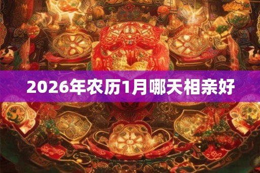 2026年农历1月哪天相亲好