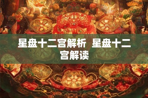 星盘十二宫解析  星盘十二宫解读