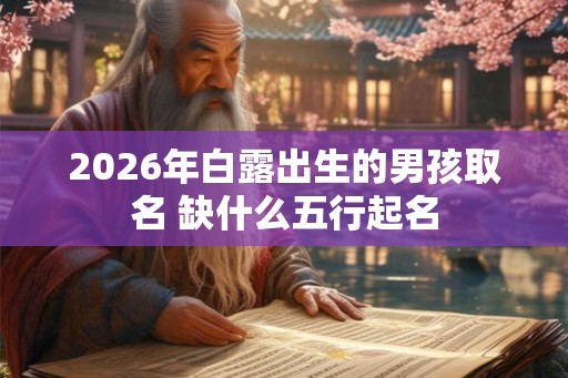 2026年白露出生的男孩取名 缺什么五行起名
