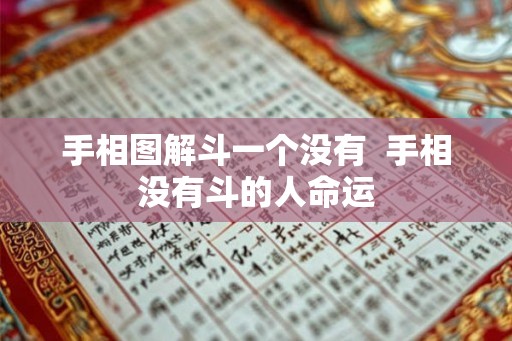 手相图解斗一个没有  手相没有斗的人命运