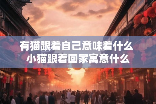 有猫跟着自己意味着什么 小猫跟着回家寓意什么