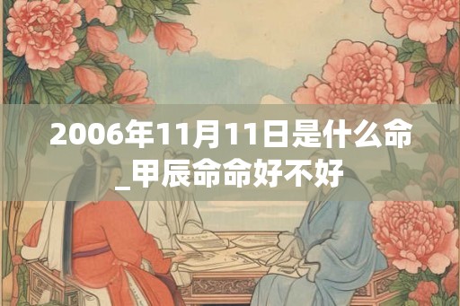 2006年11月11日是什么命_甲辰命命好不好