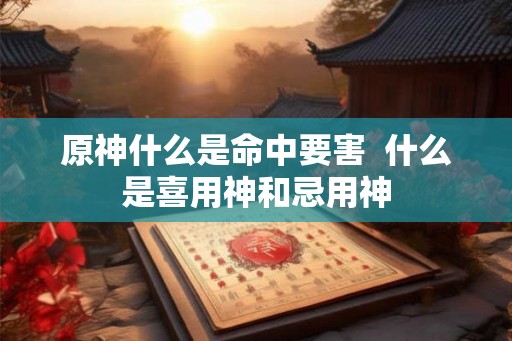 原神什么是命中要害  什么是喜用神和忌用神