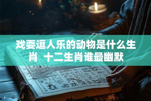戏耍逗人乐的动物是什么生肖 十二生肖谁最幽默 戏耍逗人乐的动物是什么生肖 十二生肖谁最幽默