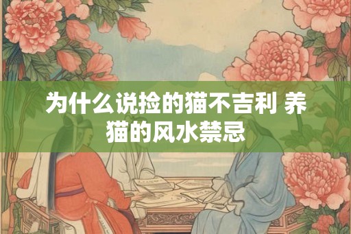 为什么说捡的猫不吉利 养猫的风水禁忌
