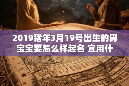 2019猪年3月19号出生的男宝宝要怎么样起名 宜用什么字