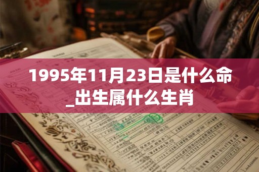 1995年11月23日是什么命_出生属什么生肖