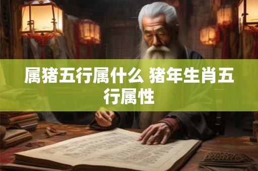 属猪五行属什么 猪年生肖五行属性