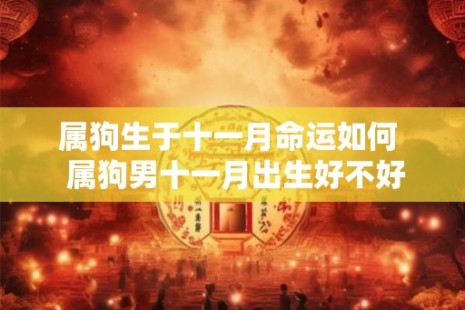 属狗生于十一月命运如何  属狗男十一月出生好不好
