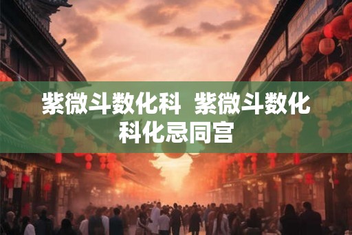 紫微斗数化科  紫微斗数化科化忌同宫