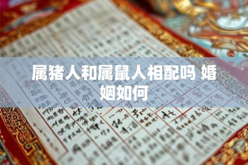 属猪人和属鼠人相配吗 婚姻如何