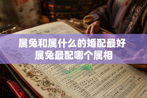 属兔和属什么的婚配最好 属兔最配哪个属相 属兔和属什么的婚配最好 属兔最配哪个属相