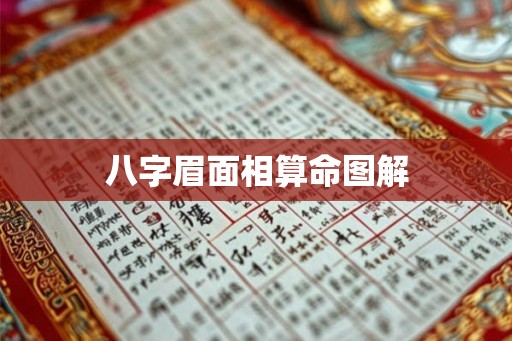 八字眉面相算命图解