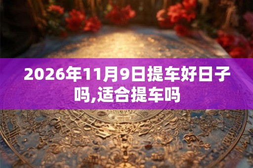2026年11月9日提车好日子吗,适合提车吗