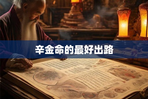 辛金命的最好出路