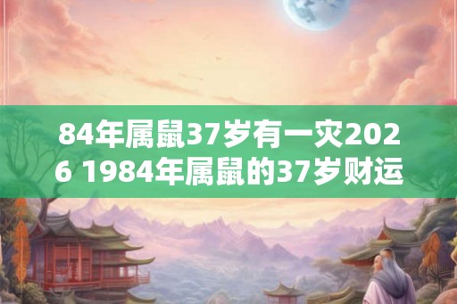 84年属鼠37岁有一灾2026 1984年属鼠的37岁财运好吗